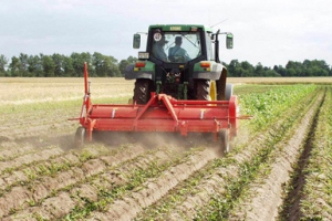 Ботвоудалитель GRIMME KS75-4