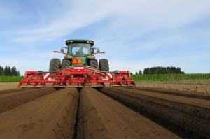 Ґрунтообробна фреза GF 600 GRIMME