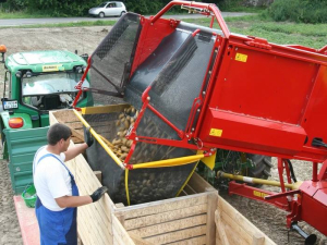SE140 GRIMME