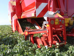 SE140 GRIMME