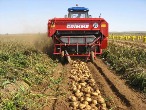 WR200 GRIMME